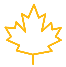 Yellow outline of maple leaf